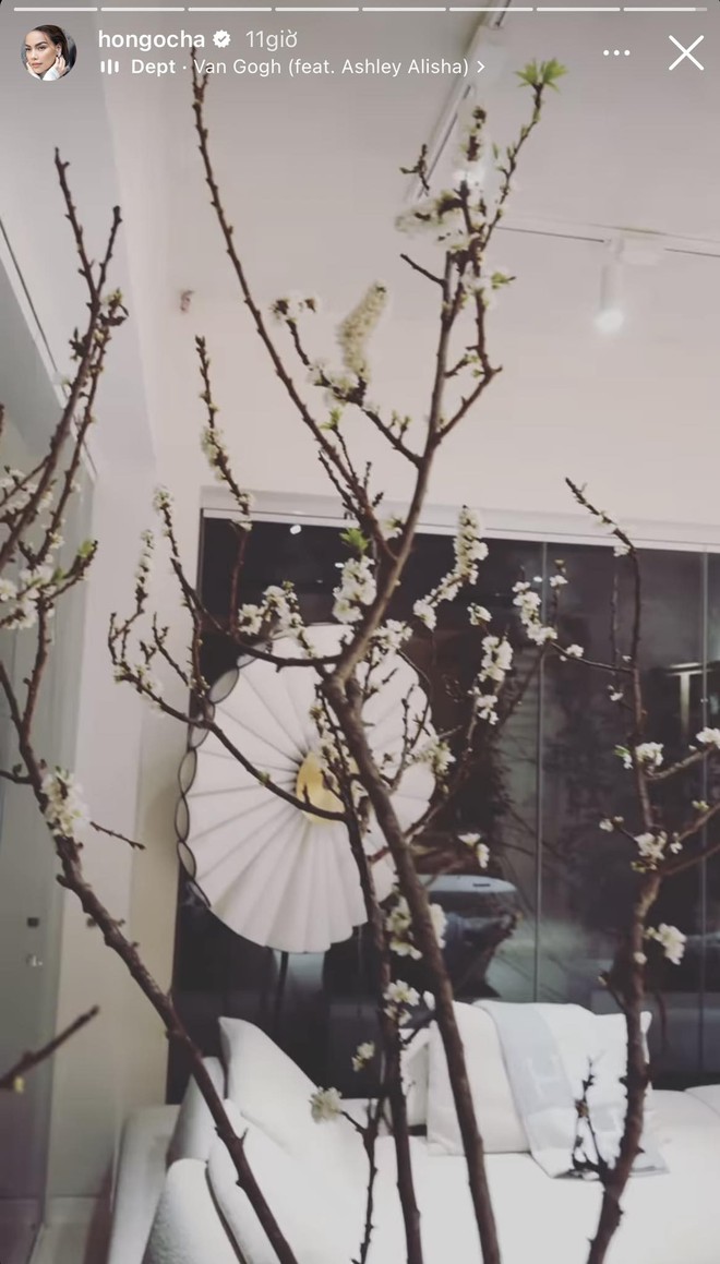 Biệt thự 30 tỷ của Hồ Ngọc Hà trang hoàng lộng lẫy đón Tết-7