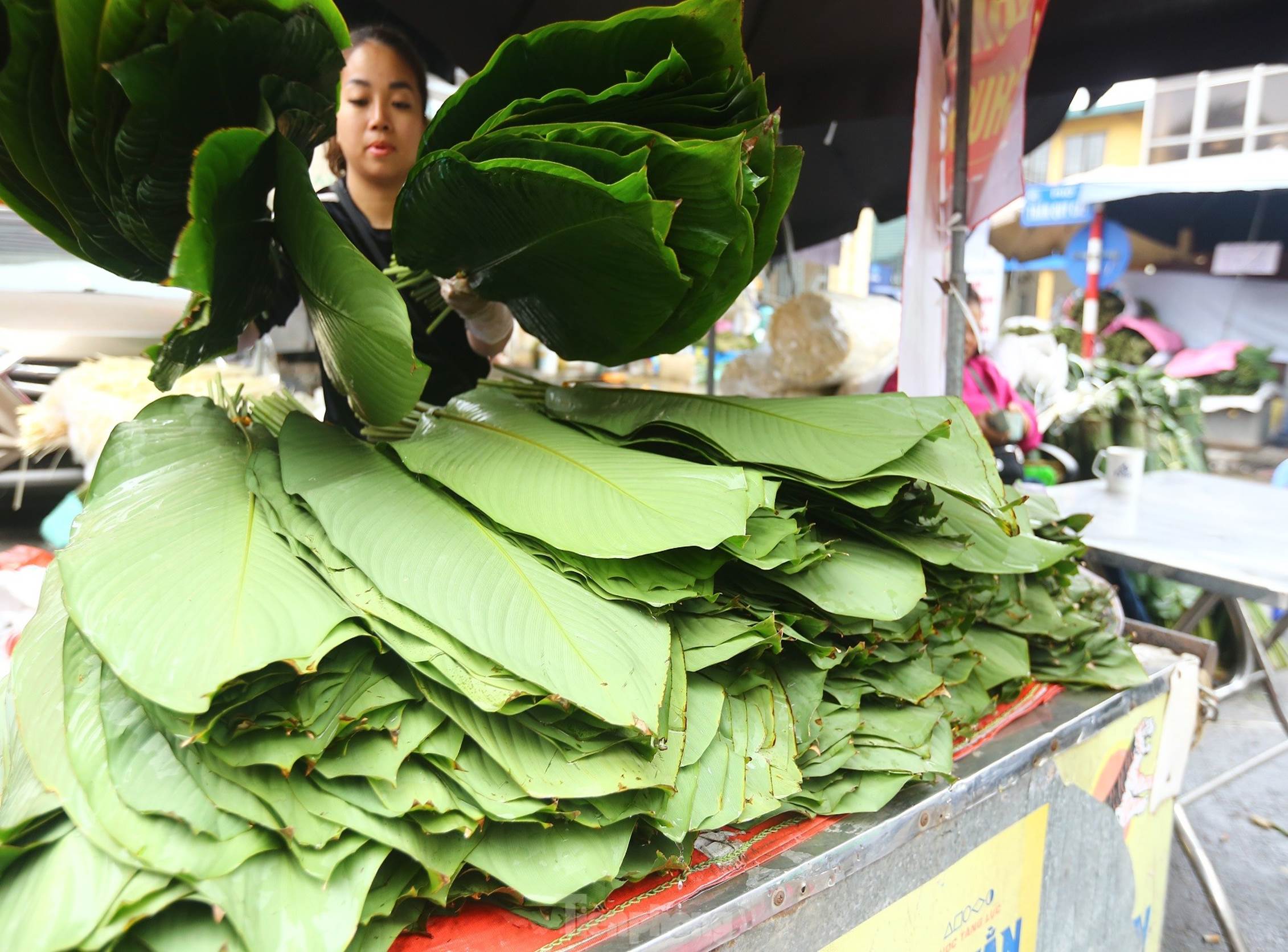 Chợ lá dong lâu đời nhất Hà Nội: Ngày bán hàng vạn lá, thu về hàng chục triệu-5