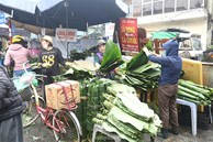 Chợ lá dong lâu đời nhất Hà Nội: Ngày bán hàng vạn lá, thu về hàng chục triệu