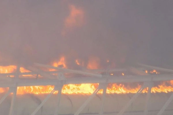 Hiểu lầm bi kịch trong vụ va chạm máy bay thảm khốc ở Nhật Bản?-3