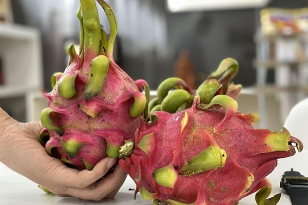 Nữ giới ăn 3 thực phẩm này trước khi đi ngủ, sau 1 tuần có ngay chiếc bụng phẳng kịp ăn Tết-1