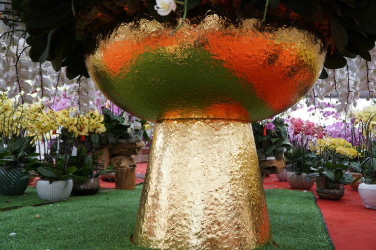 Chậu lan hồ điệp cao 4m gần 2 tỷ đồng đã có người hỏi mua-2