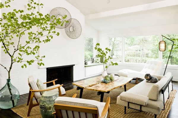 Tết Giáp Thìn, bày 5 cây cảnh may mắn trong nhà để chiêu lộc, sinh tài cho gia đình-10