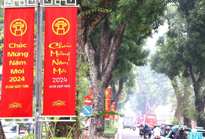 Hà Nội rực rỡ cờ hoa mừng Đảng mừng Xuân, đón Tết Nguyên đán 2024-7