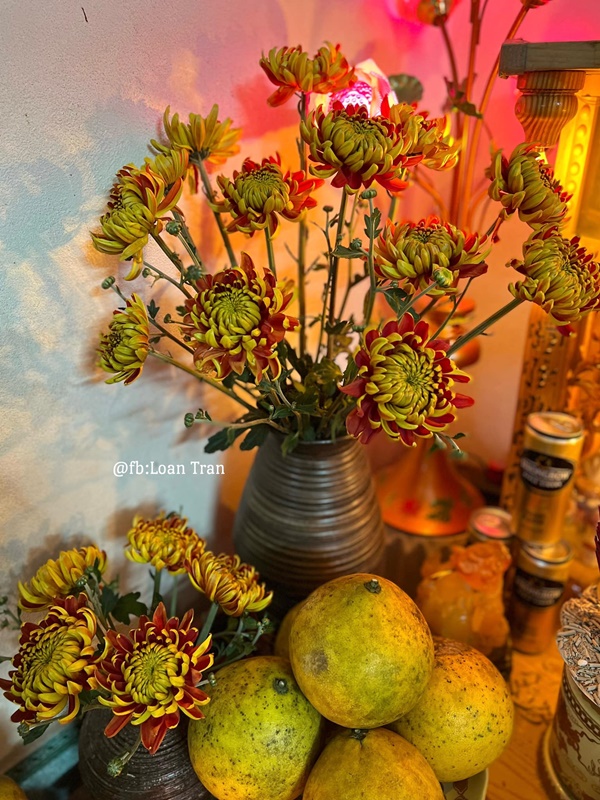 Bật mí cách chọn mua loài hoa cúc được ưa chuộng trên bàn thờ ngày Tết-6