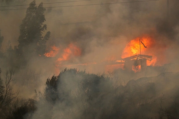 Cháy rừng thảm khốc ở Chile, ít nhất 46 người thiệt mạng-1