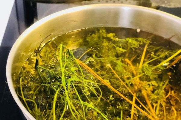 4 món ăn vặt ngon miệng ngày Tết nhưng ăn quá nhiều lại là kẻ thù của sức khỏe, có loại tưởng tốt nhưng vẫn có thể gây hại-2