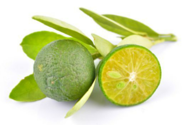 Bác sĩ giải thích lý do luôn bỏ giày dép ở ngoài cửa-2