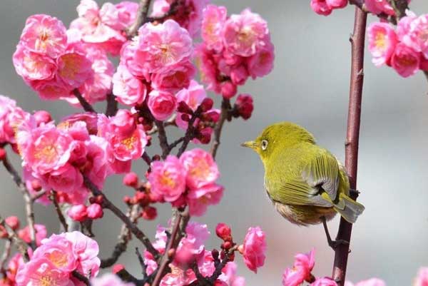 Lộc lá chạm đỉnh: 4 con giáp năm Giáp Thìn 2024 vượt mọi khó khăn, thăng chức, tăng lương-1