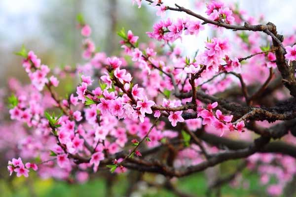 Tử vi 12 cung hoàng đạo ngày 6/2: Bảo Bình, Cự Giải tài chính dồi dào-2