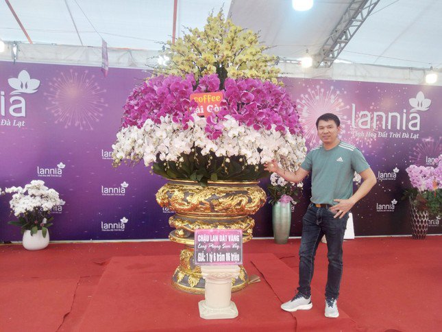 Chậu hoa lan dát vàng giá hơn 1,6 tỷ đồng ở Bắc Giang đã có khách hỏi mua-1