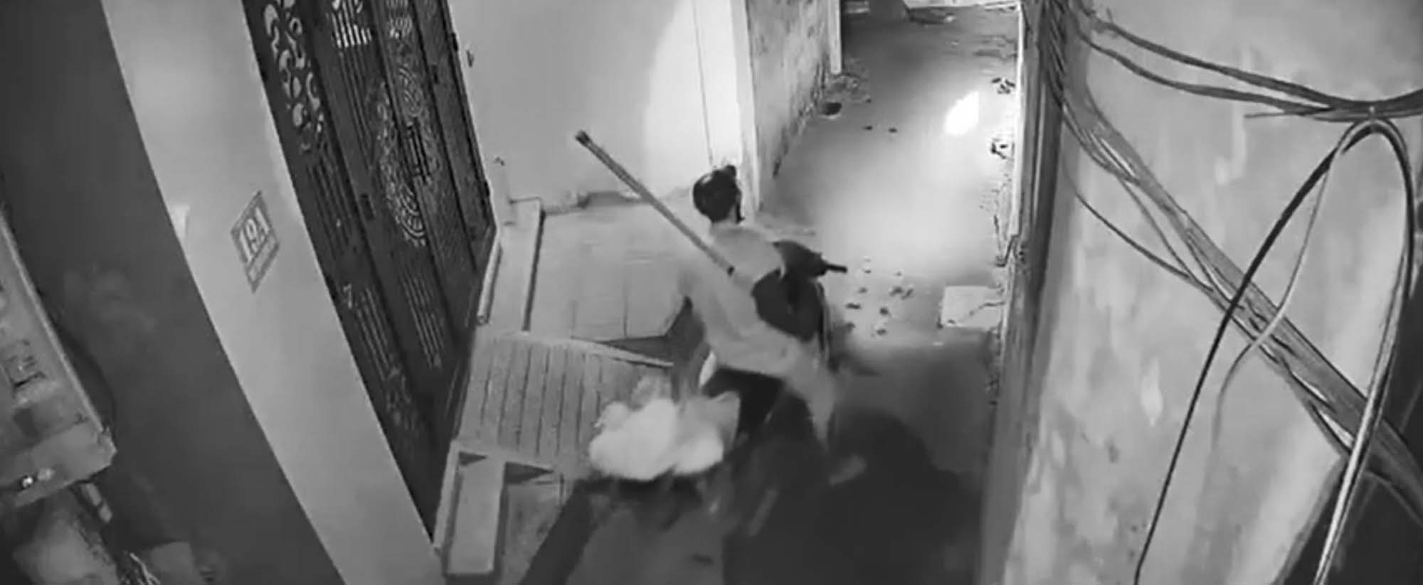 Trộm thú cưng hoành hành ở Hà Nội: Mòn mỏi tìm thú cưng-4