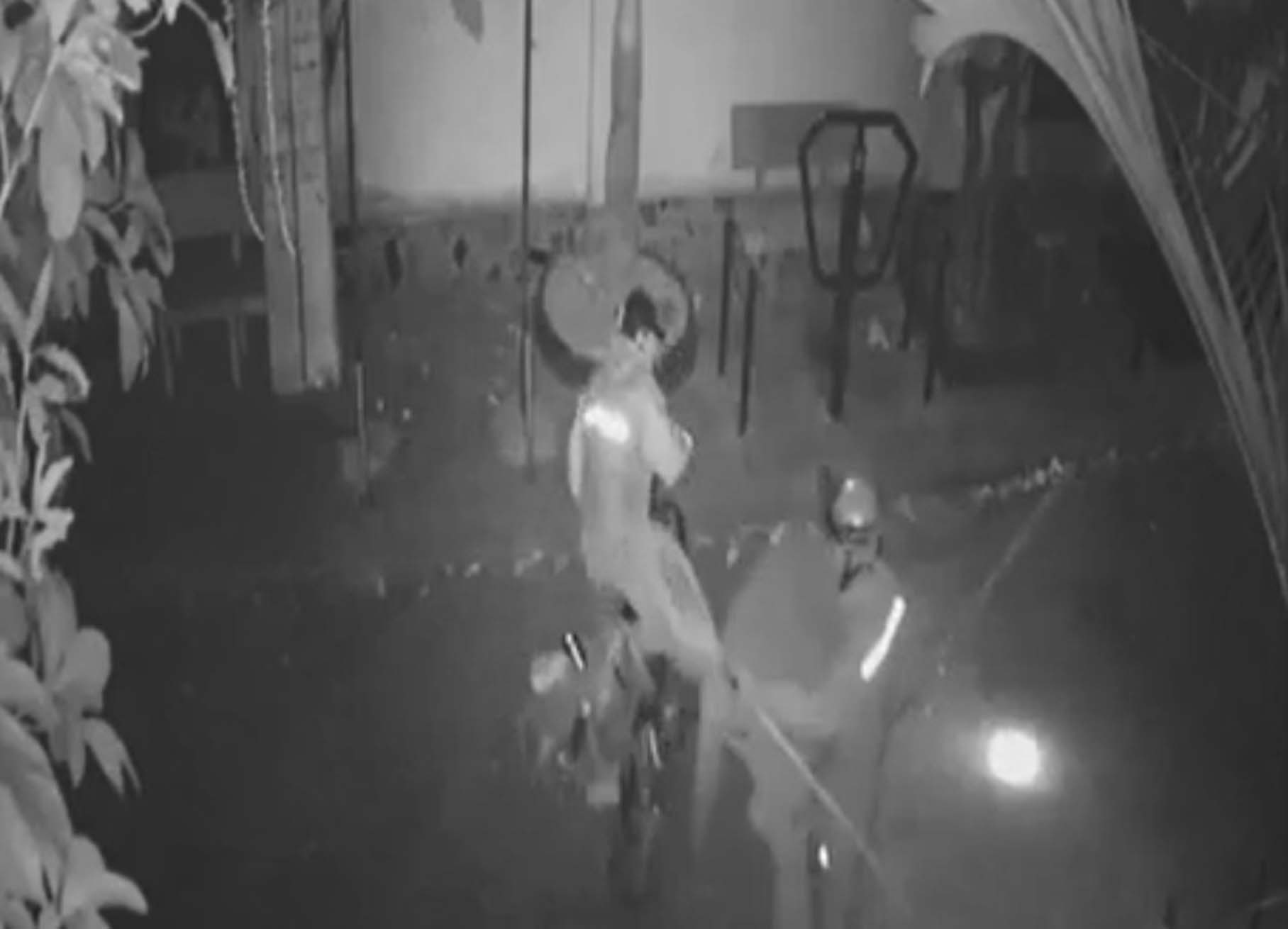 Trộm thú cưng hoành hành ở Hà Nội: Mòn mỏi tìm thú cưng-3