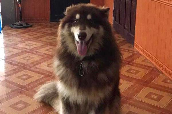 Hai trẻ hóng gió trên nóc ô tô ở cao tốc Phan Thiết - Dầu Giây-2