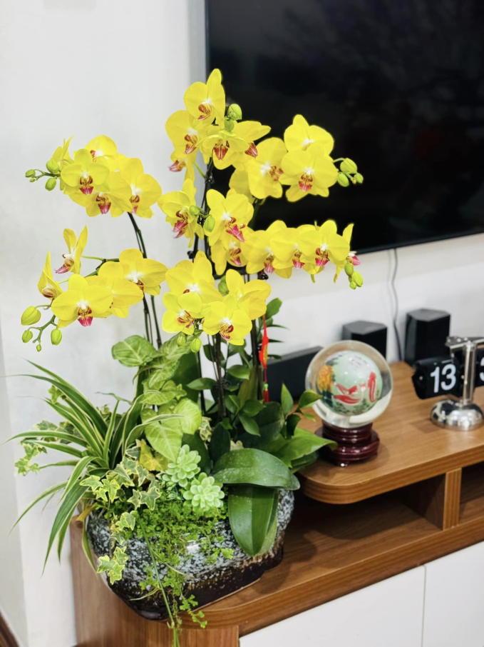 Vợ NSND Công Lý hé lộ góc nhỏ phòng khách đầy hoa tươi ngày cận Tết, bảo sao được khen là nàng dâu đảm đang-3