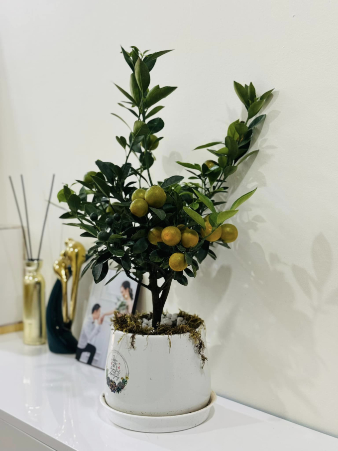 Vợ NSND Công Lý hé lộ góc nhỏ phòng khách đầy hoa tươi ngày cận Tết, bảo sao được khen là nàng dâu đảm đang-1