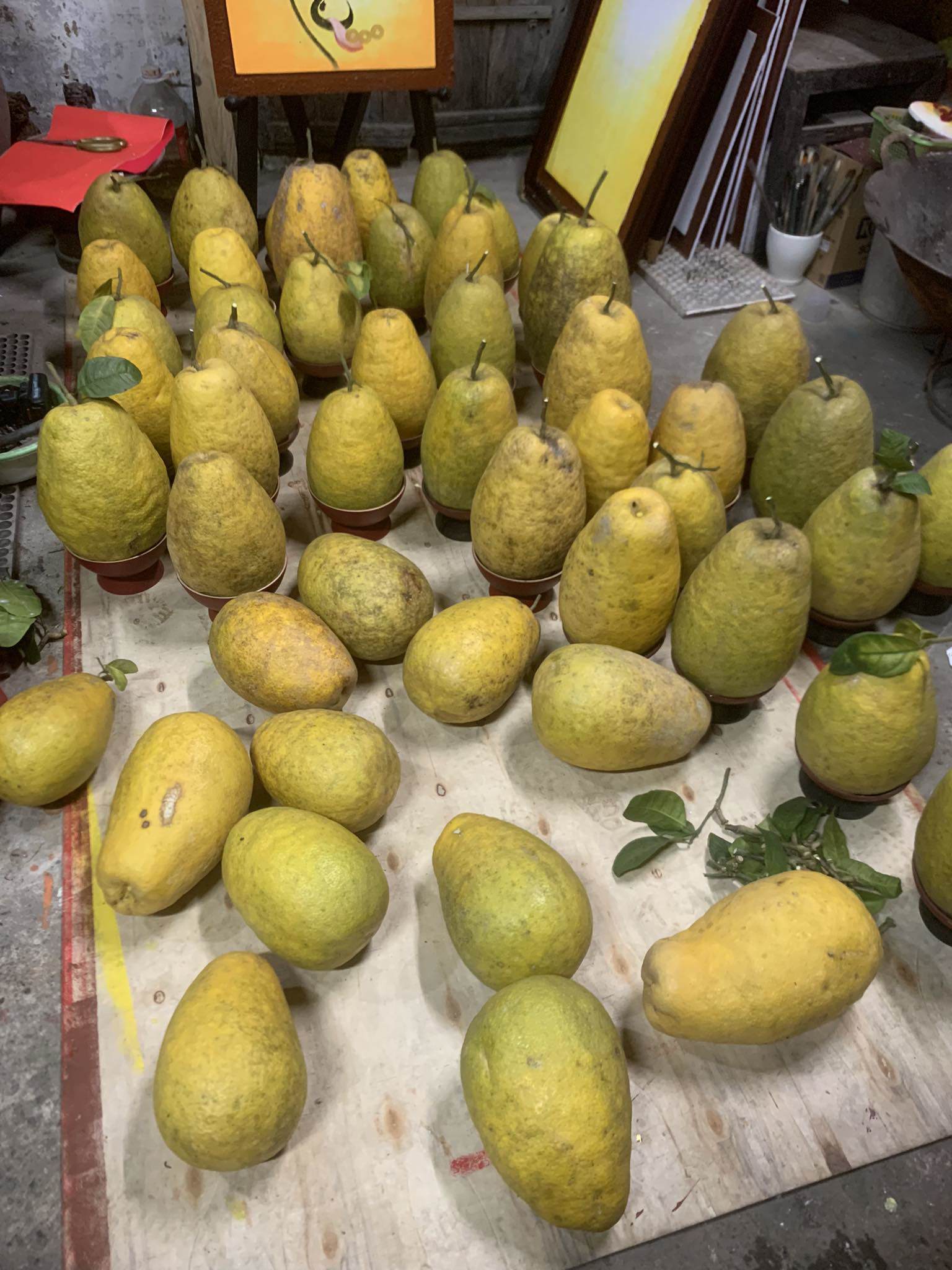 Bán loại bưởi lạ” giá 200.000 đồng/quả, 8x vừa rao bán đã cháy” hàng-1