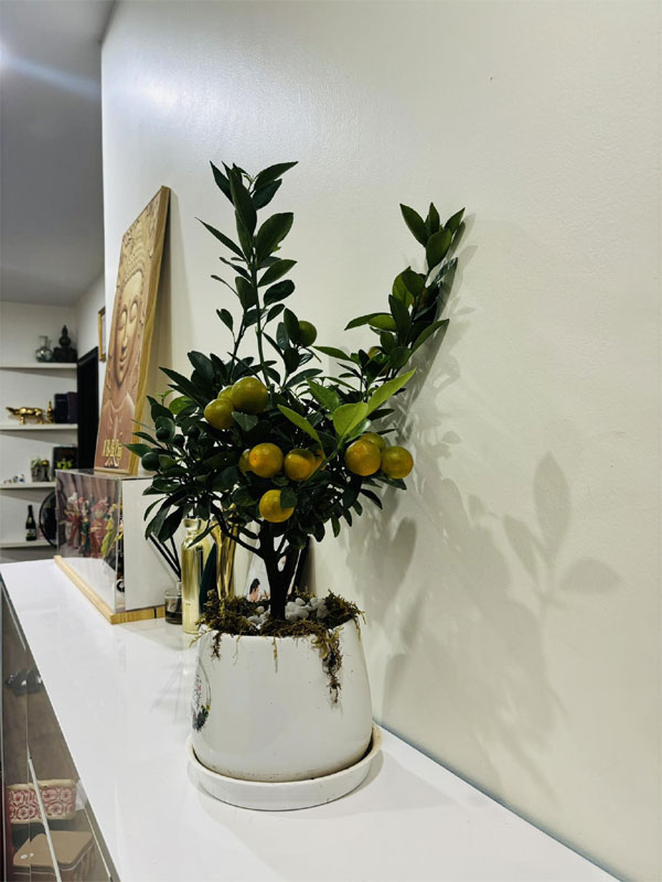 Vợ kém 15 tuổi trang hoàng nhà cửa cùng NSND Công Lý đón Tết-6