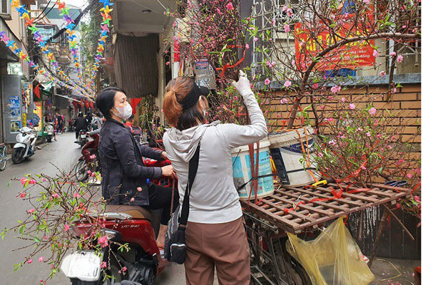 Tiểu thương lỗ hàng trăm triệu, chấp nhận bán rẻ đào, quất sau Tết-11