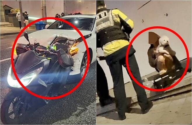 Nữ DJ nổi tiếng đâm chết người sau khi uống rượu, hành vi sau khi gây tai nạn khiến dân mạng xứ Hàn phẫn nộ tột độ-2