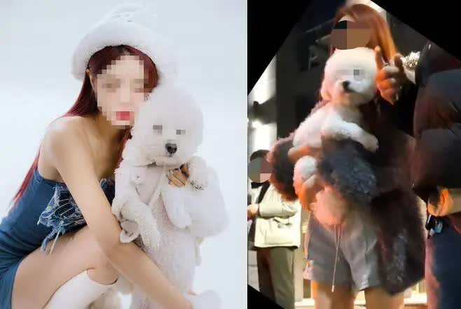 Nữ DJ nổi tiếng đâm chết người sau khi uống rượu, hành vi sau khi gây tai nạn khiến dân mạng xứ Hàn phẫn nộ tột độ-3