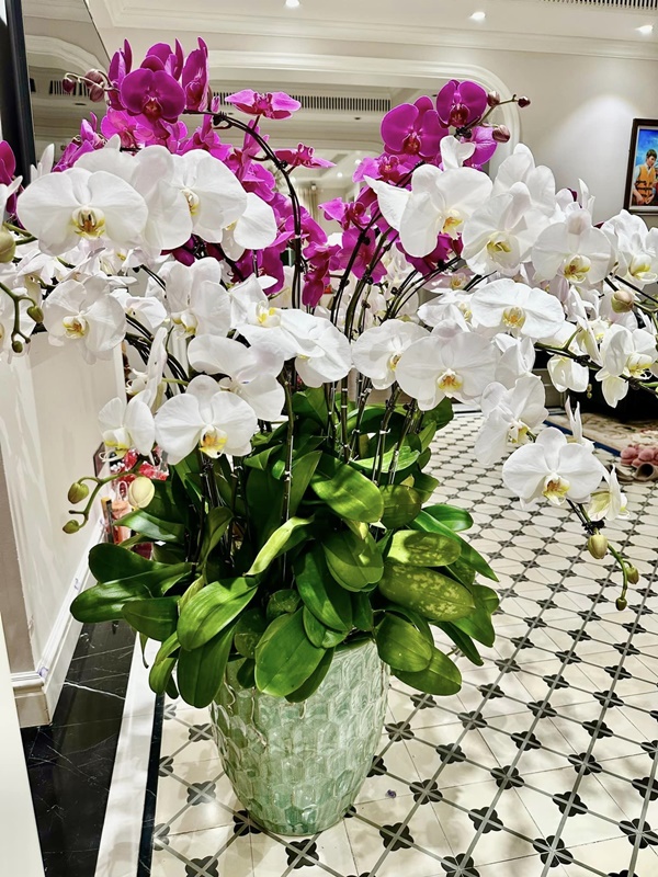 Bên trong biệt thự của sao Việt ngày cận Tết-10