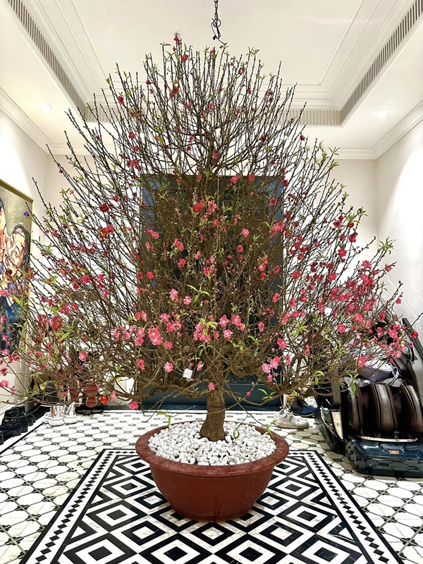 Bên trong biệt thự của sao Việt ngày cận Tết-11