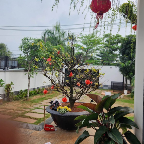 Bên trong biệt thự của sao Việt ngày cận Tết-16