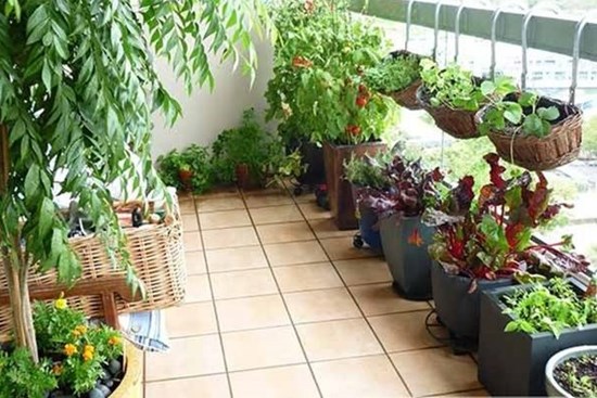 Dọn ban công nhớ nguyên tắc “6 thứ nên vứt – 2 thứ nên đặt”, Thần Tài sẽ đến nhà, gia đình phát tài
