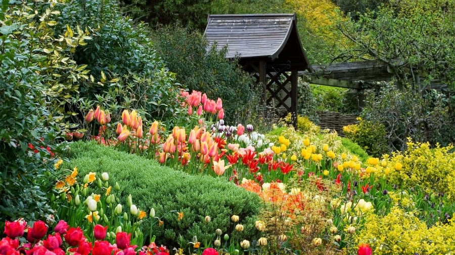 Tổ tiên truyền lại: Trước Tết, nhà ai có dấu hiệu này chứng tỏ Thần Tài chỉ điểm năm mới giàu có phát tài-2