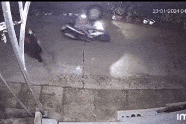 Clip: Hai thanh niên dùng vợt bắt trộm mèo nhanh như chớp