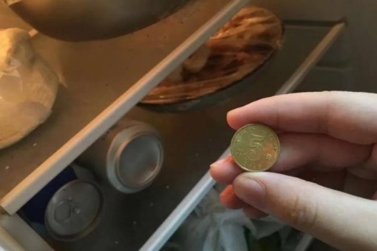 Người thông minh sẽ đặt một đồng xu trong tủ lạnh trước khi nghỉ Tết, biết lý do tôi liền học theo