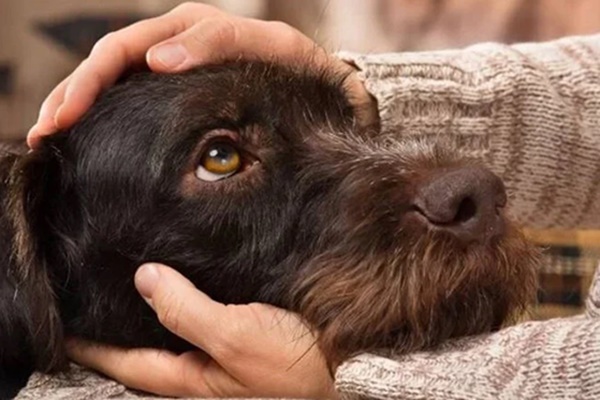 Nguyên nhân khiến người đàn ông phải đi cấp cứu khi đang dọn nhà đón Tết-2