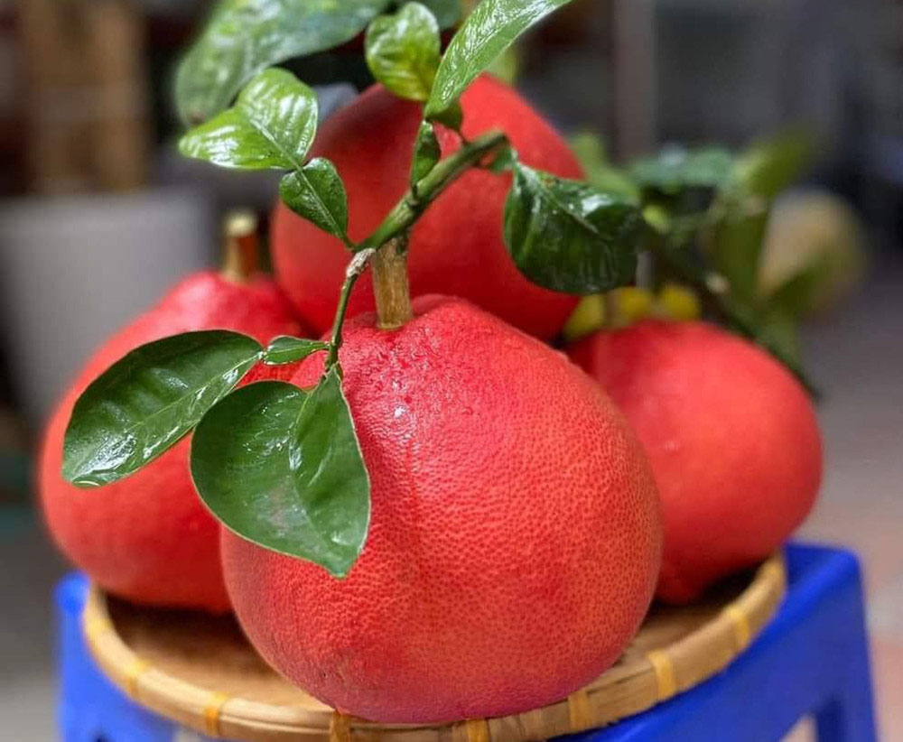 Bưởi thỏi vàng, bưởi tiến vua giá giảm mạnh xả lỗ trước Tết-2