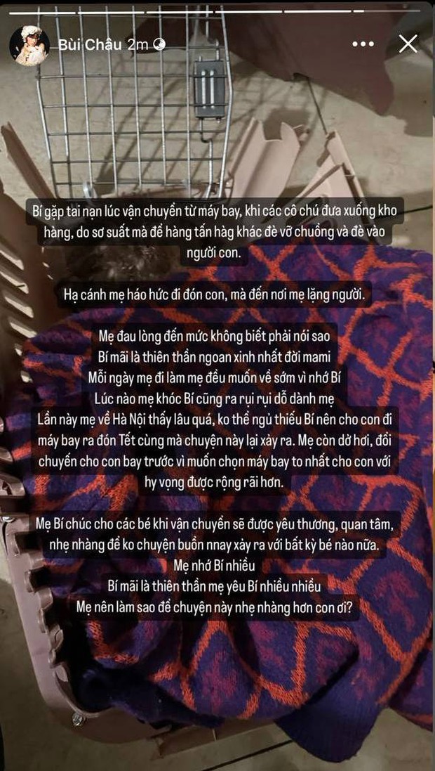 Vụ cún cưng của Châu Bùi mất khi bay ra Hà Nội: Chị ruột bức xúc lên tiếng, dịch vụ vận chuyển né tránh, khoá Fanpage-1