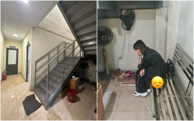 Vụ cún cưng của Châu Bùi mất khi bay ra Hà Nội: Chị ruột bức xúc lên tiếng, dịch vụ vận chuyển né tránh, khoá Fanpage-6