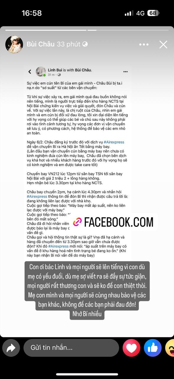Vụ cún cưng của Châu Bùi mất khi bay ra Hà Nội: Chị ruột bức xúc lên tiếng, dịch vụ vận chuyển né tránh, khoá Fanpage-9