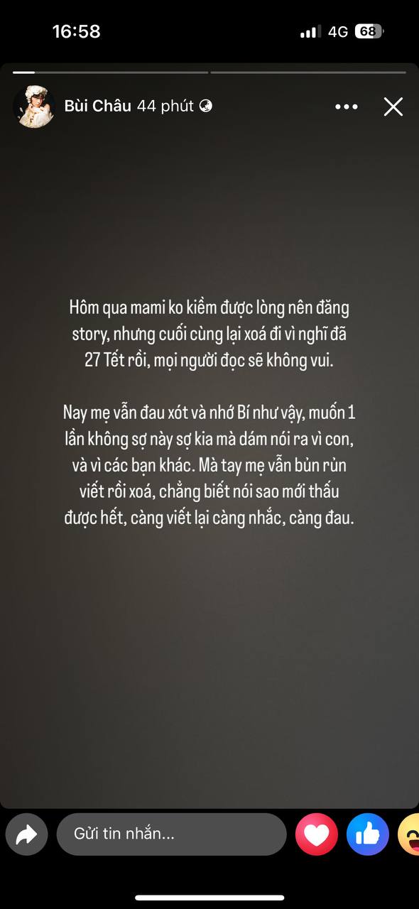 Vụ cún cưng của Châu Bùi mất khi bay ra Hà Nội: Chị ruột bức xúc lên tiếng, dịch vụ vận chuyển né tránh, khoá Fanpage-10