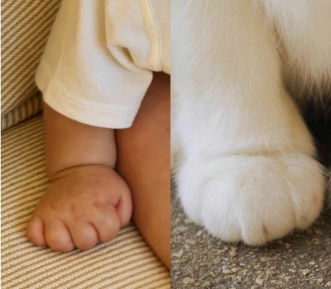 Hé lộ thông tin diện mạo quý tử Son Ye Jin - Hyun Bin: Đẹp trai như con lai, làm lu mờ cả người mẹ minh tinh?-5