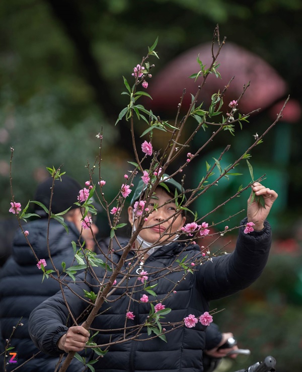 Xe rác gom cả tấn đào ế đem vứt bỏ ngày 30 Tết-4