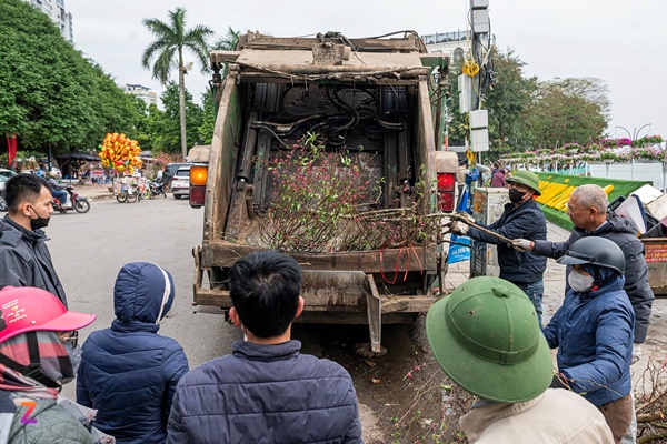 Xe rác gom cả tấn đào ế đem vứt bỏ ngày 30 Tết-6