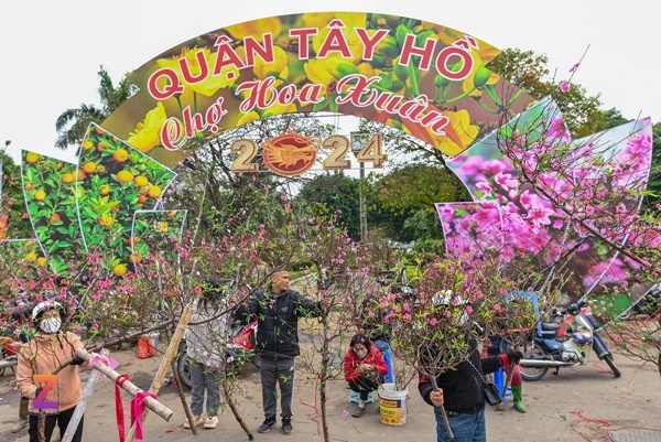 Xe rác gom cả tấn đào ế đem vứt bỏ ngày 30 Tết-1