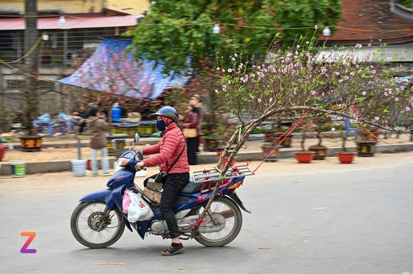 Xe rác gom cả tấn đào ế đem vứt bỏ ngày 30 Tết-10