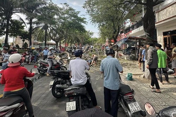 Giải cứu cô gái bị cây phượng bật gốc đè ngất xỉu chiều 30 Tết-3