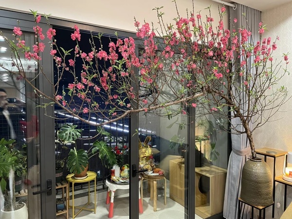 Người già dặn: Mùng 1 Tết, 6 không làm, 3 không ăn, dù chưa giàu có cũng an lành-3