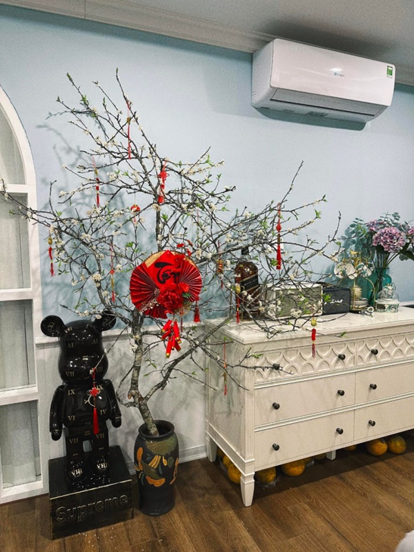 Cơ ngơi đồ sộ của tân Nam Tào: Chung cư tiền tỷ mãn nhãn khi decor Tết, nhà vườn 900m2 tặng ba mẹ phủ đầy cây xanh-3