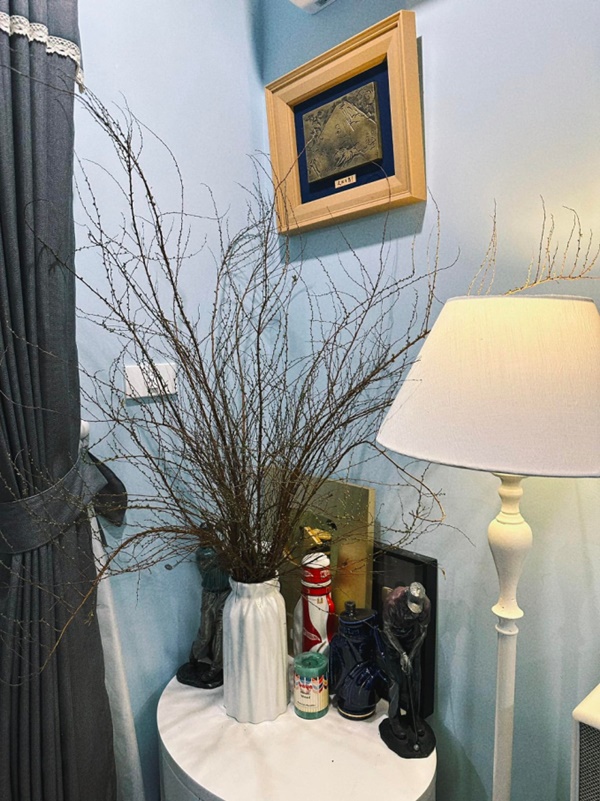 Cơ ngơi đồ sộ của tân Nam Tào: Chung cư tiền tỷ mãn nhãn khi decor Tết, nhà vườn 900m2 tặng ba mẹ phủ đầy cây xanh-4