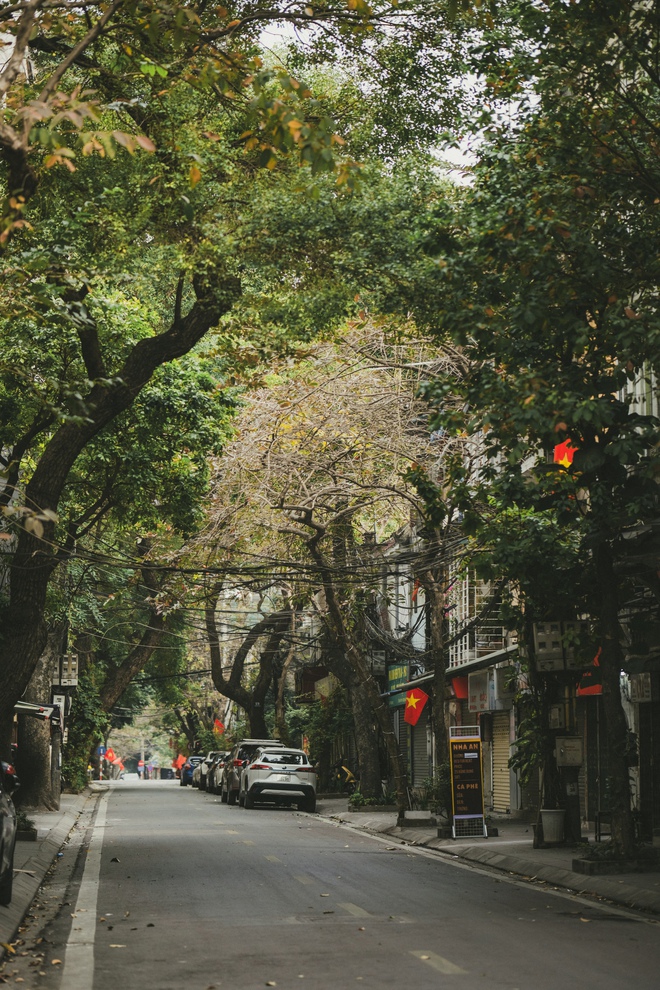 Hà Nội sáng sớm đầu tiên năm Giáp Thìn: Vắng vẻ lạ thường mà sao đẹp và yêu đến thế!-9