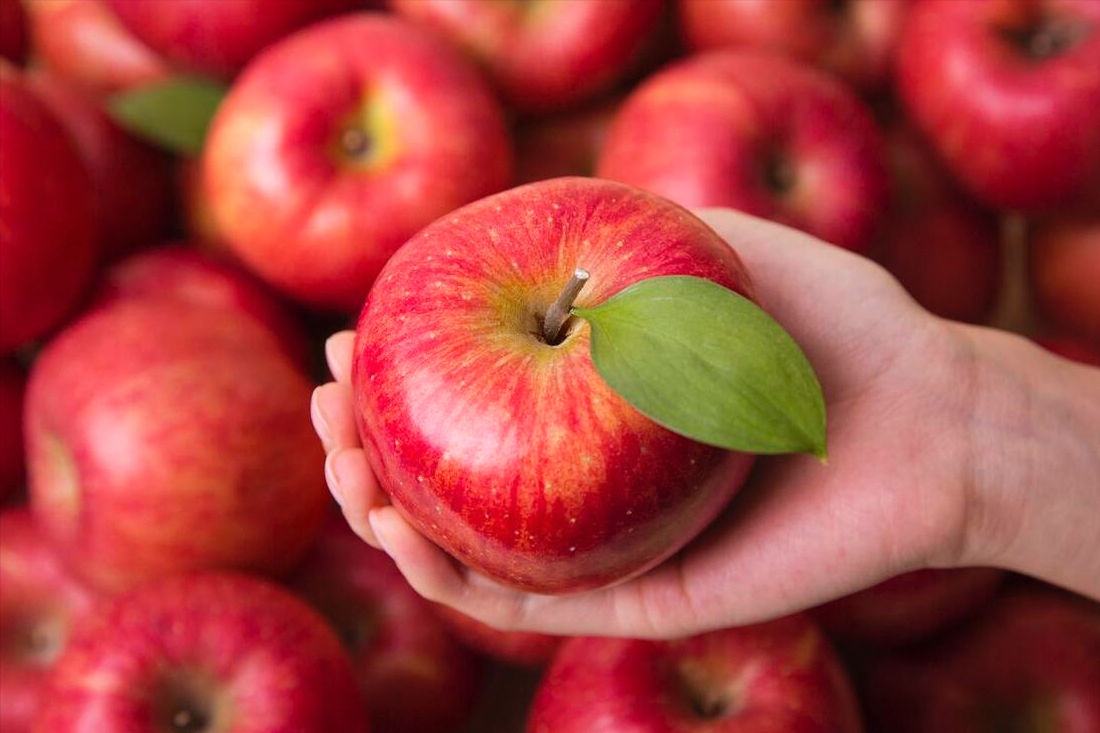 Muốn cả năm may mắn, phúc lộc gõ cửa, hãy lưu ý điều này cho không gian sống của mình-8