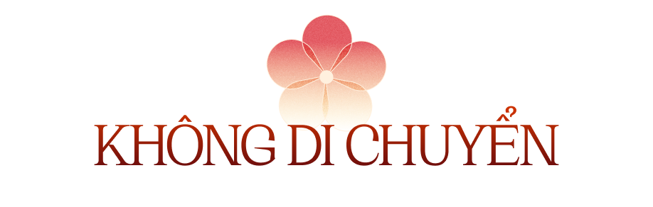 Muốn cả năm may mắn, phúc lộc gõ cửa, hãy lưu ý điều này cho không gian sống của mình-1